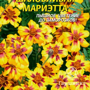 

Бархатцы Шаловливая Мариэтта 45 шт, Плазменные семена