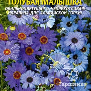

Брахикома Голубая малышка 0,05 г, Плазменные семена