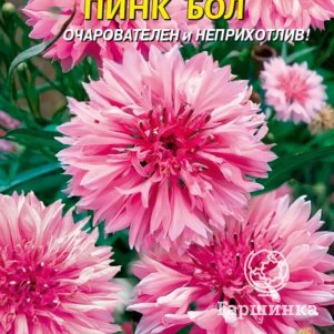 

Василек Пинк бол 0,5 г, Плазменные семена