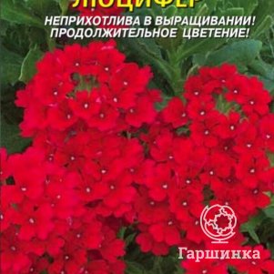 

Вербена Люцифер 0,05 г, Плазменные семена