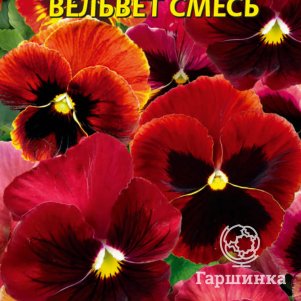 

Виола Вельвет смесь 0,1 г, Плазменные семена