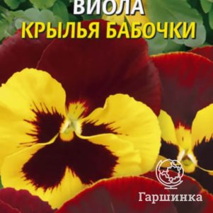 

Виола Крылья бабочки 0,04 г, Плазменные семена