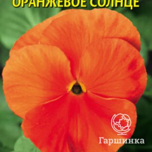 

Виола Оранжевое Солнце 0,1 г, Плазменные семена