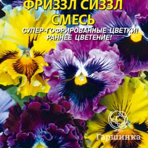 

Виола Фриззл Сиззл F1 Смесь 5 шт, Плазменные семена