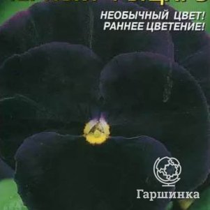 

Виола Черный рыцарь 0,1 г, Плазменные семена