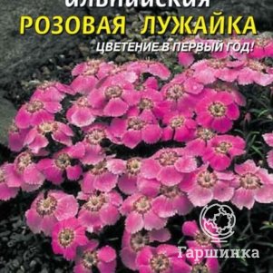 

Гвоздика альпийская Розовая лужайка 0,05 гр Плазменные семена