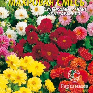 

Георгина Бамбино махровая смесь 12 шт, Плазменные семена