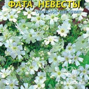 

Гипсофила Фата невесты 0,5 г, Плазменные семена