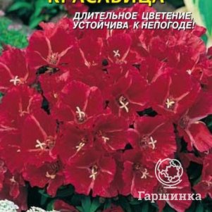 Годеция Красавица 0,2 г, Плазменные семена