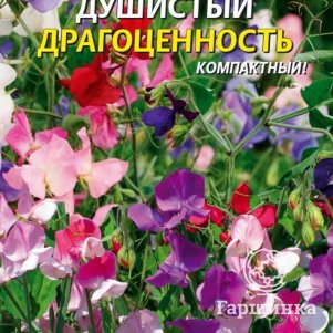 

Горошек душистый Драгоценность 12 шт, Плазменные семена
