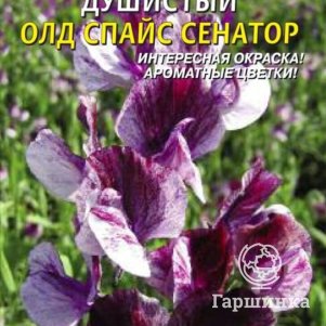 

Горошек душистый Олд Спайс Сенатор 0,4 г, Плазменные семена