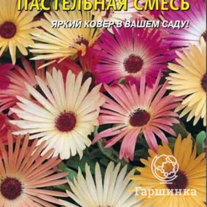 

Доротеантус Пастельная смесь 0,1 г, Плазменные семена