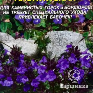 

Душевка альпийская 0,01 г, Плазменные семена