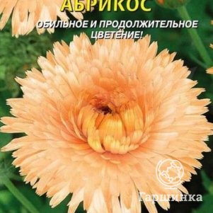 

Календула Абрикос 0,3 г, Плазменные семена