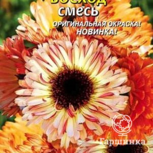 

Календула Восход смесь 0,2 г, Плазменные семена