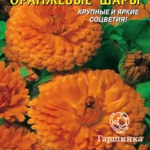 

Календула Оранжевые шары 0,3 г, Плазменные семена