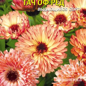 

Календула Тач оф Ред 0,15 г, Плазменные семена