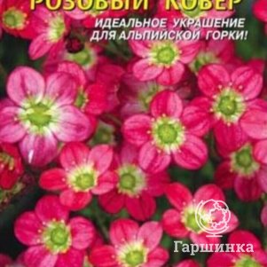 

Камнеломка Розовый ковер 0,01 г, Плазменные семена