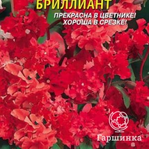 

Кларкия Бриллиант изящная 0,1 г, Плазменные семена