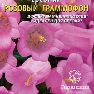 Колокольчик Розовый граммофон средний 0,1 г, Плазменные семена