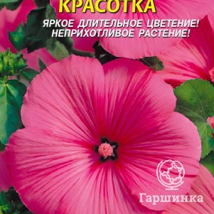 

Лаватера Красотка 0,3 г, Плазменные семена