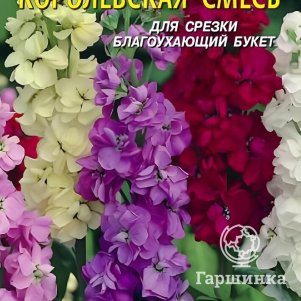 

Левкой Королевская смесь 0,1 г, Плазменные семена