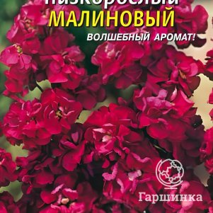 

Левкой Малиновый низкорослый 0,1 г, Плазменные семена