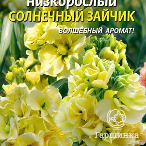 

Левкой Солнечный зайчик низкорослый 0,1 г, Плазменные семена