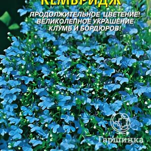 Лобелия Кембридж 0,03 г, Плазменные семена