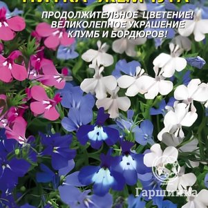 

Лобелия Нитка жемчуга 0,03 г, Плазменные семена