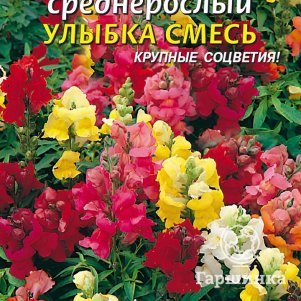 

Львиный зев Улыбка F2 среднерослый 0,1 г, Плазменные семена
