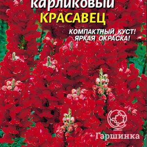 

Львиный зев Красавец карликовый 0,02 г, Плазменные семена
