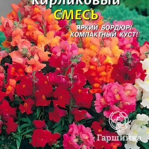 

Львиный зев Смесь карликовый 0,02 г, Плазменные семена