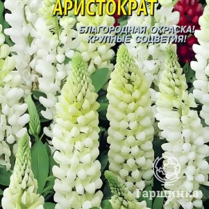 

Люпин Аристократ многолетний 0,45 г, Плазменные семена