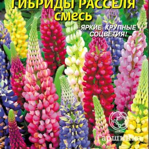 

Люпин Расселя смесь многолетний гибрид 0,45 г, Плазменные семена