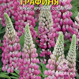 

Люпин Графиня многолетний 0,45 г, Плазменные семена