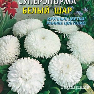 Маргаритка Белый шар СуперЭнорма 0,05г, Плазменные семена