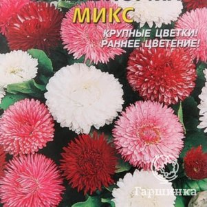 

Маргаритка Микс СуперЭнорма 0,05г, Плазменные семена