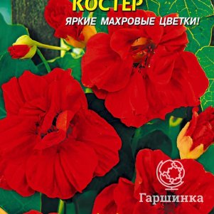 

Настурция Костер 9 шт, Плазменные семена