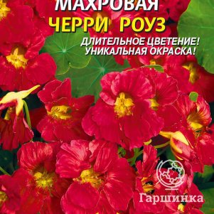 Настурция Черри Роуз махровая 8 шт, Плазменные семена