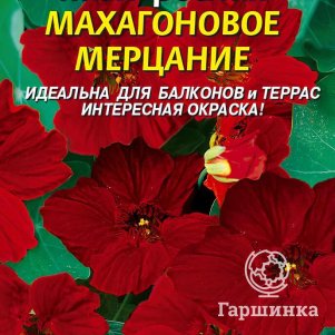 Настурция Махагоновое мерцание низкорослая 7 шт, Плазменные семена
