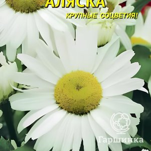 

Нивяник Аляска 0,2 г, Плазменные семена