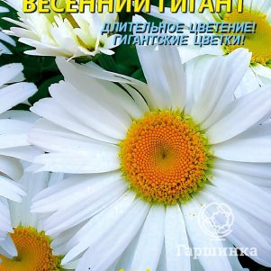 

Нивяник Весенний Гигант 0,2 г, Плазменные семена