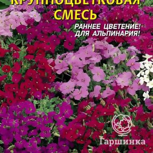 

Обриета Крупноцветковая смесь 0,1 г, Плазменные семена
