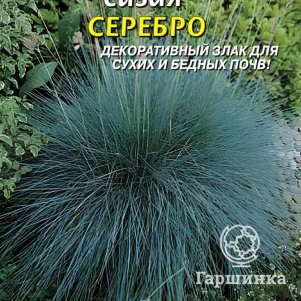 

Овсянница Серебро сизая 0,1 г. Плазменные семена