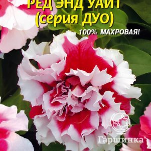 Петуния Ред энд Уайт F1 (серия Дуо) 10 шт, Плазменные семена