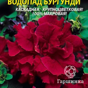 Петуния Водопад Бургунди F1 10 шт, Плазменные семена