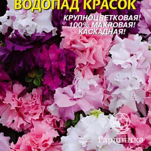 Петуния Водопад Красок F1 10 шт, Плазменные семена