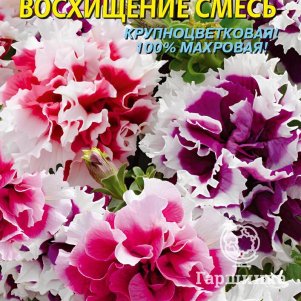 

Петуния Восхищение F1 10 шт, Плазменные семена