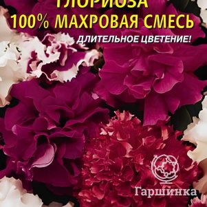 Петуния Глориоза F1 10 шт, Плазменные семена
